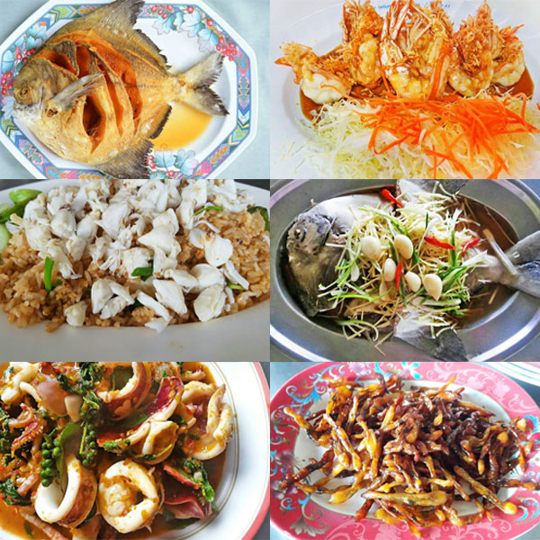 My Image 11
